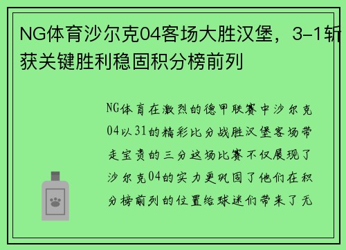 NG体育沙尔克04客场大胜汉堡，3-1斩获关键胜利稳固积分榜前列